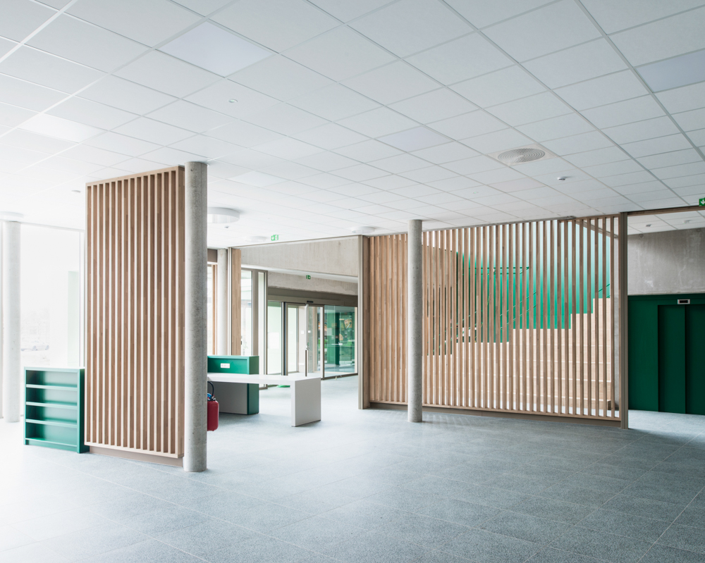 CJ_PATERNOTTE_S17_10022024_004