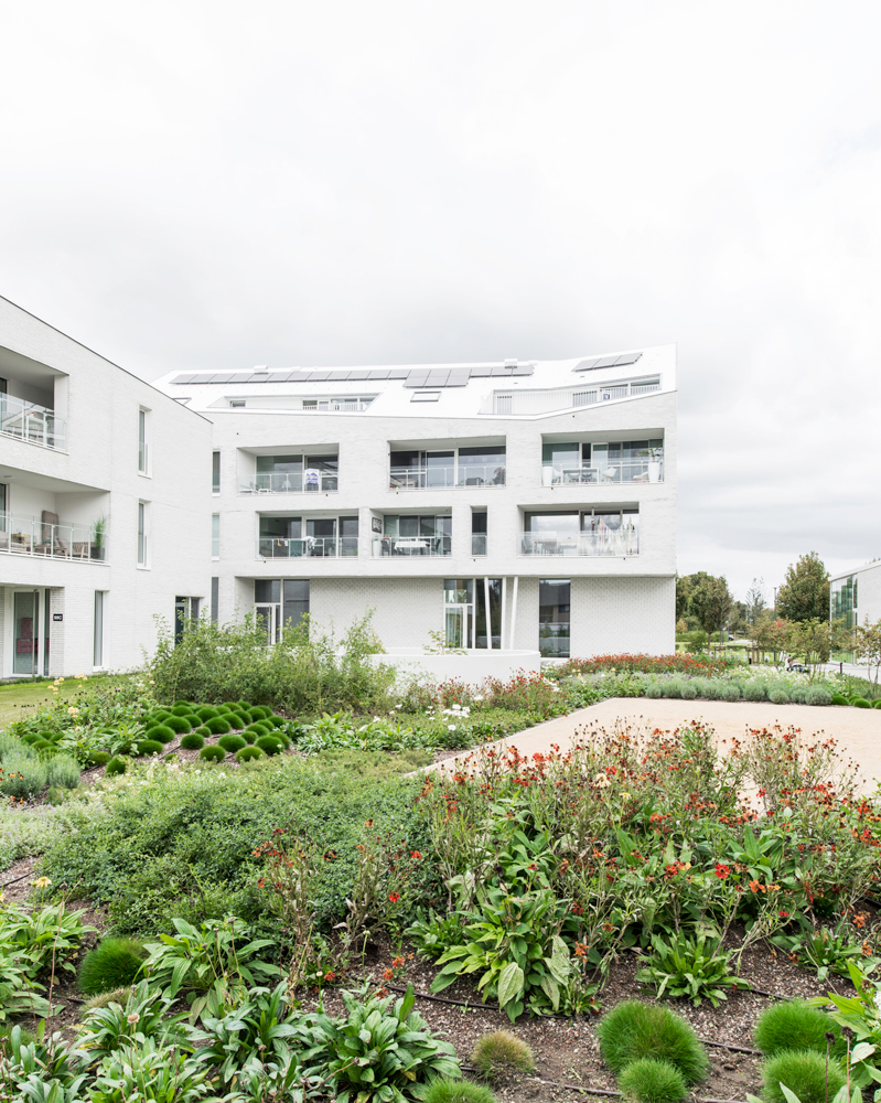 sint-truiden-architecten-appartementen-nieuwbouw-appartementen-2024-ew246-008-portrait